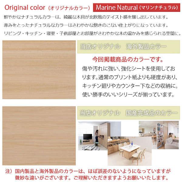 スリムダスト2分別 幅25cm MARINE マリンシリーズ ゴミ箱 ペール付 ダストボックス 隙間家具 キッチン収納 FY-0173-NS_2