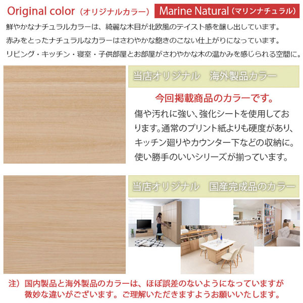カウンター下収納 ルーター収納 幅45.5cm MARINE マリンシリーズ 2口コンセント 移動棚 巾木よけ加工 FY-0167-NS_2
