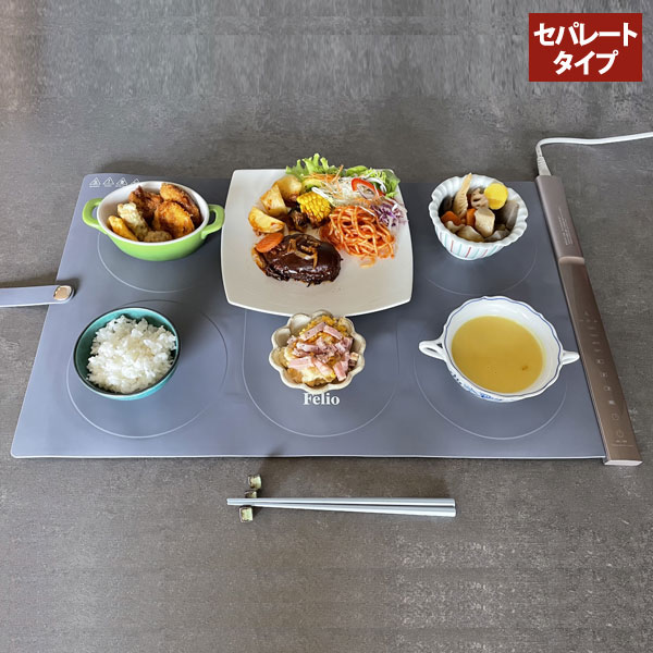 Felio フードウォーマー セパレートタイプ 60度 80度 100度 120度 タイマー機能 常温保温 食品保温プレート 電気保温プレート BWR02