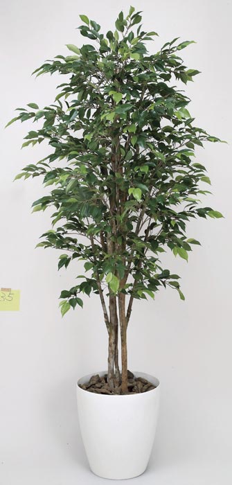 アートグリーン フェイクグリーン 人工観葉植物 光触媒 光の楽園 ロイヤルベンジャミン1.8 151R680