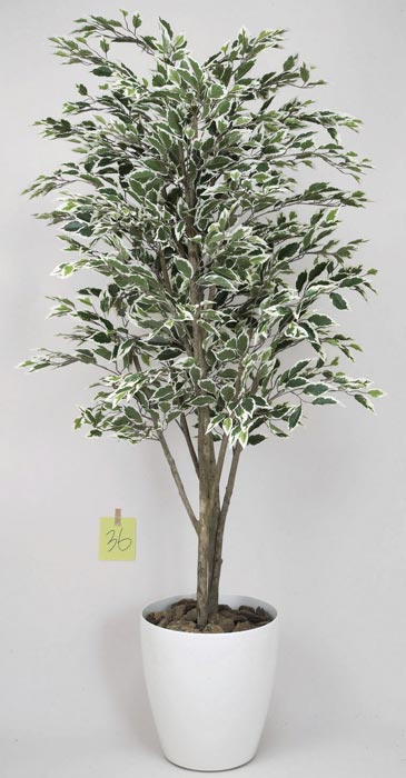 アートグリーン フェイクグリーン 人工観葉植物 光触媒 光の楽園 ベンジャミンツリー斑入り1.6 153K430