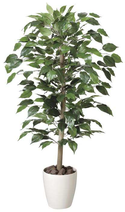 アートグリーン 人工観葉植物 光触媒 光の楽園 ベンジャミン1.0 200A150 の通販は