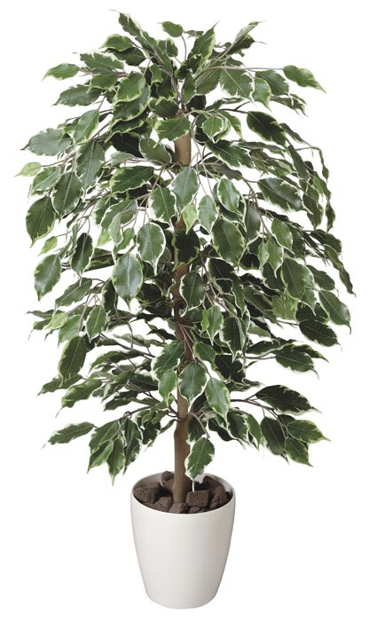 アートグリーン 人工観葉植物 光触媒 光の楽園 ゴールデンフィカス1.0 202A150