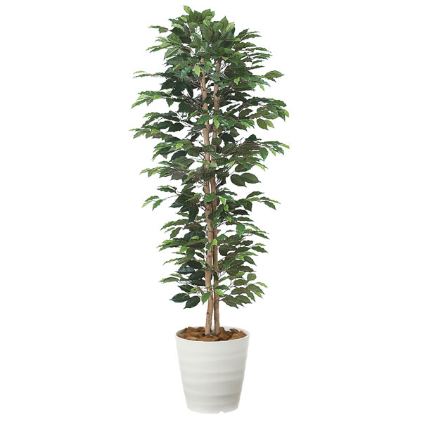 光の楽園 光触媒 人工観葉植物 フェイクグリーン ベンジャミンスリム