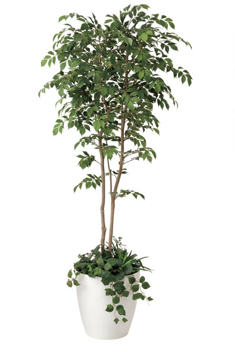 アートグリーン 人工観葉植物 光触媒 光の楽園 マウンッテンアッシュ1.8植栽付 408R650