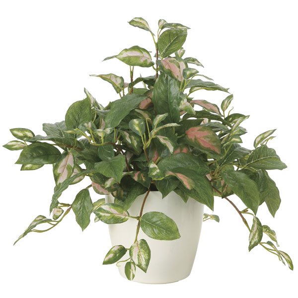 アートグリーン フェイクグリーン 人工観葉植物 光触媒 光の園 クロモジ1.6 2415A260 光触媒 観葉植物 人工植物 フェイクグリーン アートグリーン 造花 グリーン 人工観葉植物 抗菌 オフィス ナチュラル ディスプレイ 玄関 カフェ  消臭 インテリア お祝い おしゃれ 贈り物 店舗 リビング ダイニング プレゼント 引っ越し祝い 新築祝い 幸福の木 フェイクグリーン 観葉植物