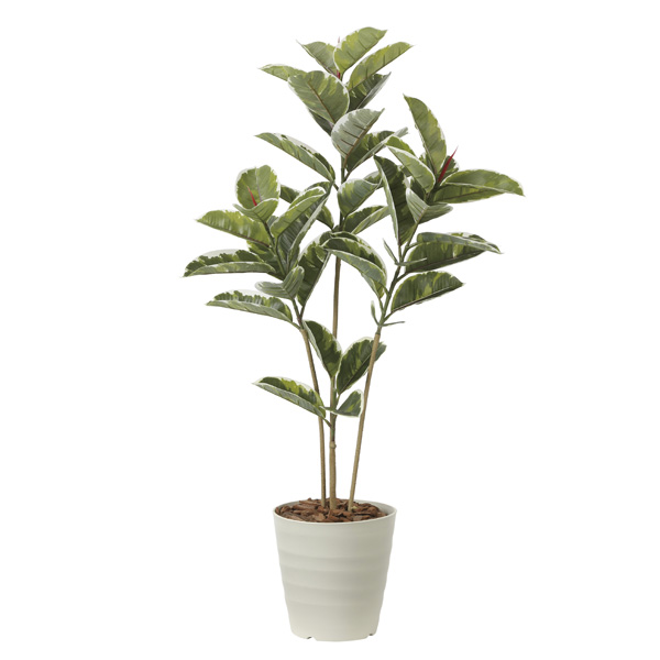 人工観葉植物 ベンガルボダイジュ FST 180 ポット付き 高さ180cm （P47-99114) （代引き不可）
