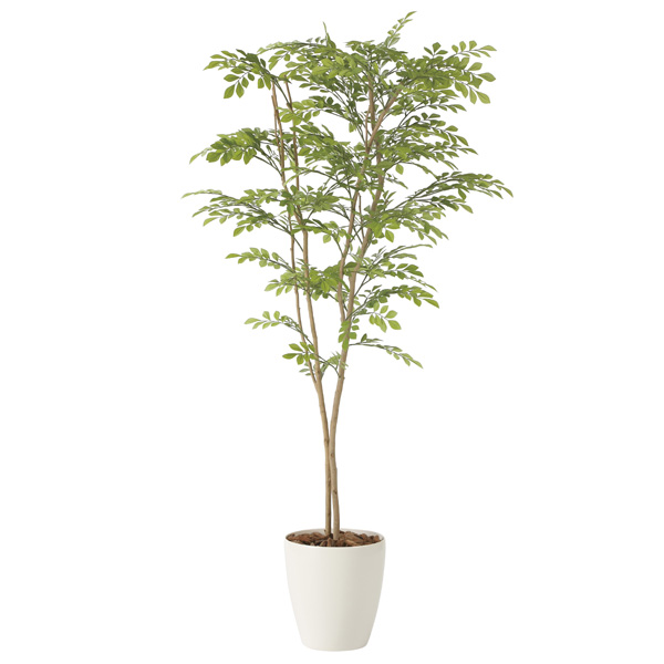 アートグリーン フェイクグリーン 人工観葉植物 光触媒 光の楽園 ライトトネリコ１．６ 2231K330の通販は