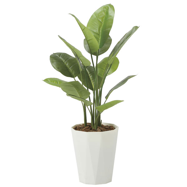 光触媒　人工観葉植物　フェイクグリーン　アムステルラバーキング1.6 光の園 アムステルラバーキング1.6 2439A430 アートグリーン フェイク