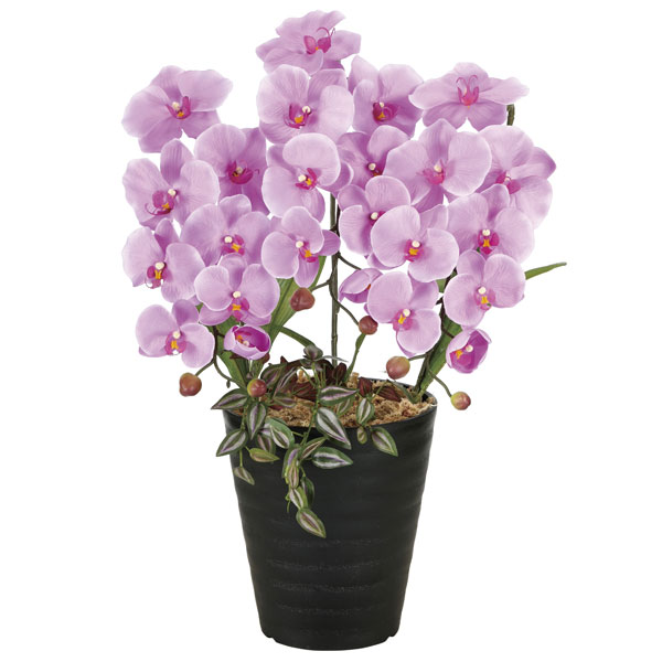 アートフラワー 造花 光触媒 光の楽園 プリンセス胡蝶蘭Ｌ 2265K60の通販は 6,600円