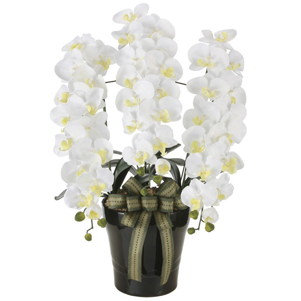 アートフラワー 造花 光触媒 光の楽園 ロイヤル胡蝶蘭Ｗ 2291A200の通販は 22,000円