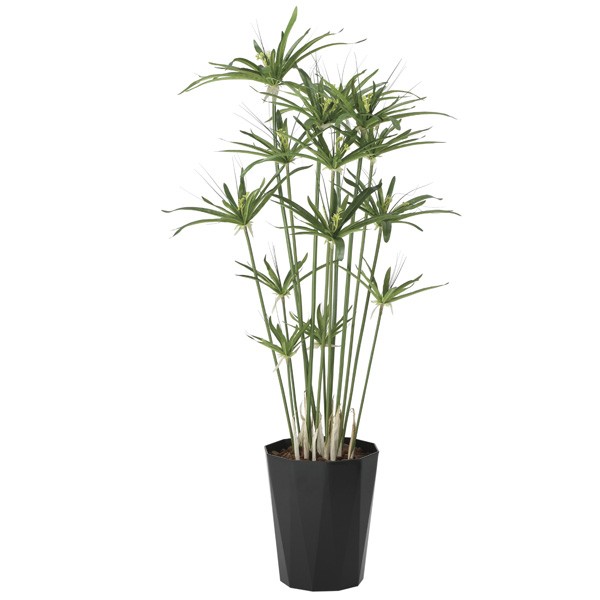 アートグリーン フェイクグリーン 人工観葉植物 光触媒 光の楽園 パピルス１．２５ 2297A200の通販は