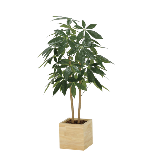 アートグリーン フェイクグリーン 人工観葉植物 光触媒 光の楽園 ウッドボックスパキラ１．０ 2305R230