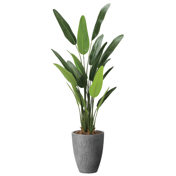 人工観葉植物 アスパラガス ガーランド 長さ180cm （P24-99487) （代引き不可） フェイクグリーン アスパラガス ガーランド 幅40 × 奥行