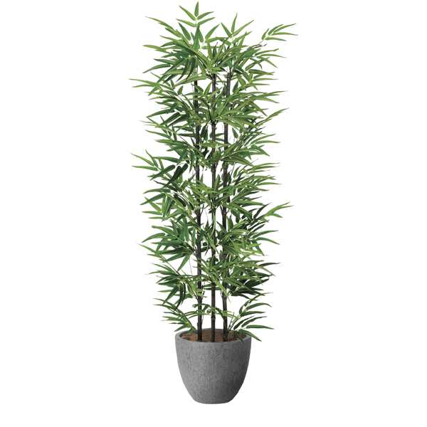 送料無料】《アートグリーン》《人工観葉植物》光触媒 光の楽園 送料無料】《アートグリーン》《人工観葉植物》光触媒 光の楽園