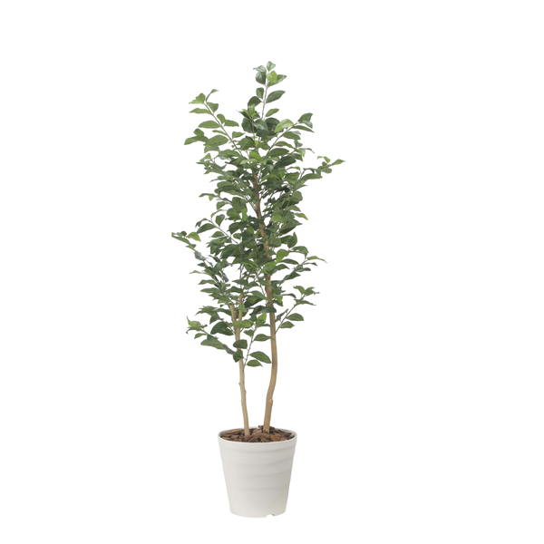 アートグリーン フェイクグリーン 人工観葉植物 光触媒 光の楽園 レモンの木1.6 2522A350