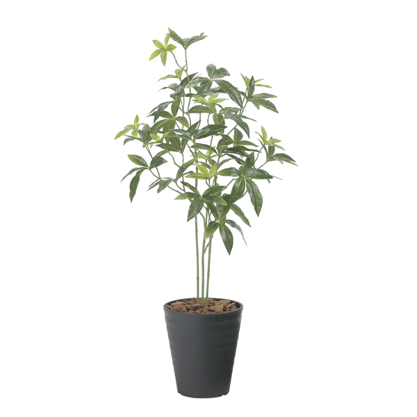 アートグリーン フェイクグリーン 人工観葉植物 光触媒 光の楽園 フレッシュパキラ95 2525A100