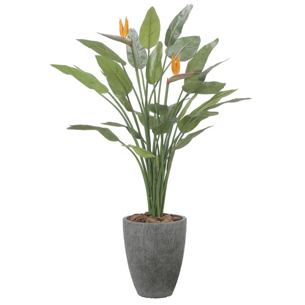 アートグリーン フェイクグリーン 人工観葉植物 光触媒 光の楽園 ナチュラルストレチア花付1.7 2526A800の通販は