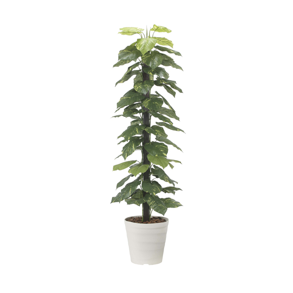 アートグリーン フェイクグリーン 人工観葉植物 光触媒 光の楽園 ジャイアントポトス1.8 2576A350