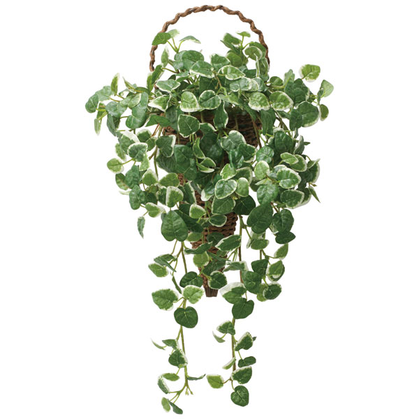 アートグリーン フェイクグリーン 人工観葉植物 光触媒 光の楽園 壁掛けプミラ 2585A95の通販は 10,450円