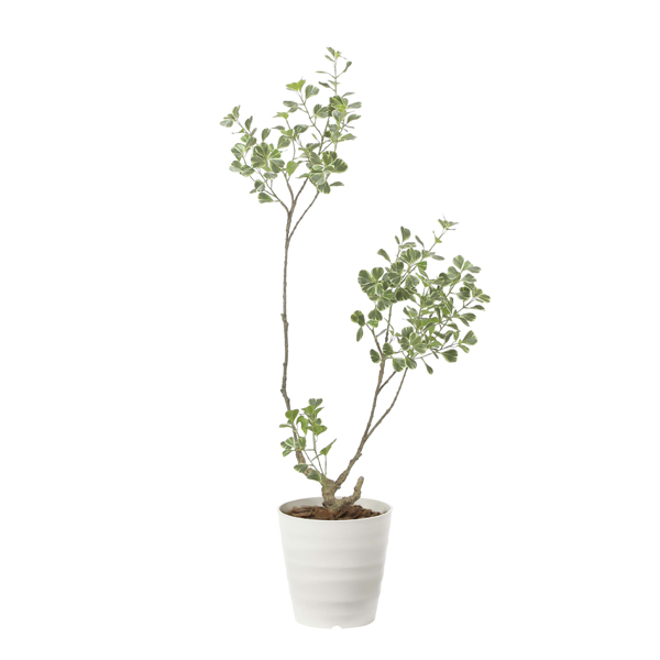 光触媒 人工観葉植物 ウォールグリーン フェイクグリーン ガジュマル