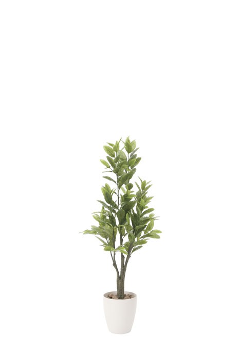 新入荷品 光触媒 人工観葉植物 ウォールグリーン ハックルベリー1.25m