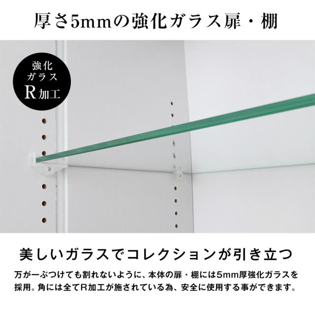 コレクションラック レギュラー ハイタイプ 本体 幅55cm 奥行19cm 高さ180cm フィギュアラック・ザ・サード JAJAN CR-T5519_3
