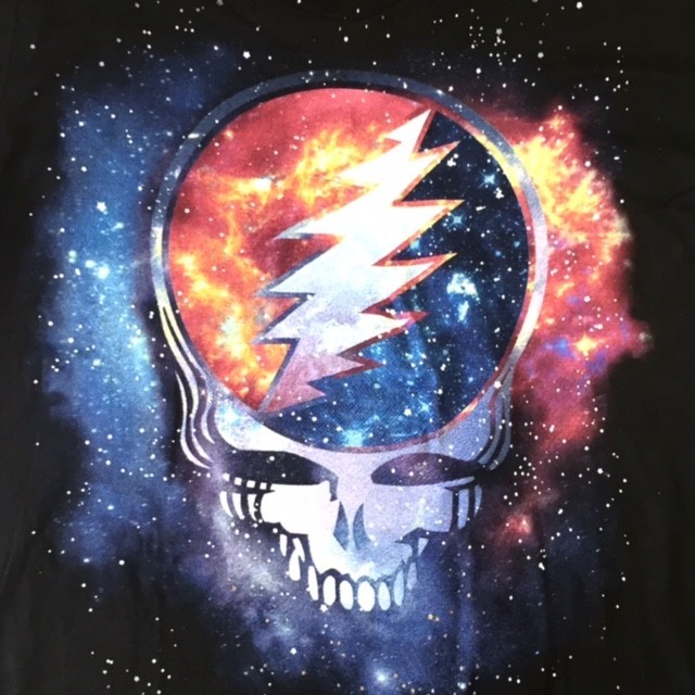 グレイトフル・デッド Grateful Dead Tシャツ Steel your face