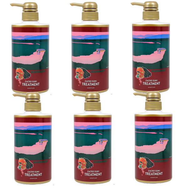 サニープレイス ザクロ精炭酸 トリートメント (500g)×6本セット