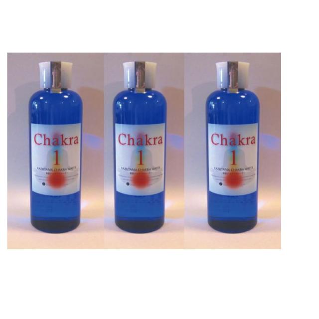 数霊セラピーウォーター 第1チャクラ [300ml] ×3本セット 18,144円