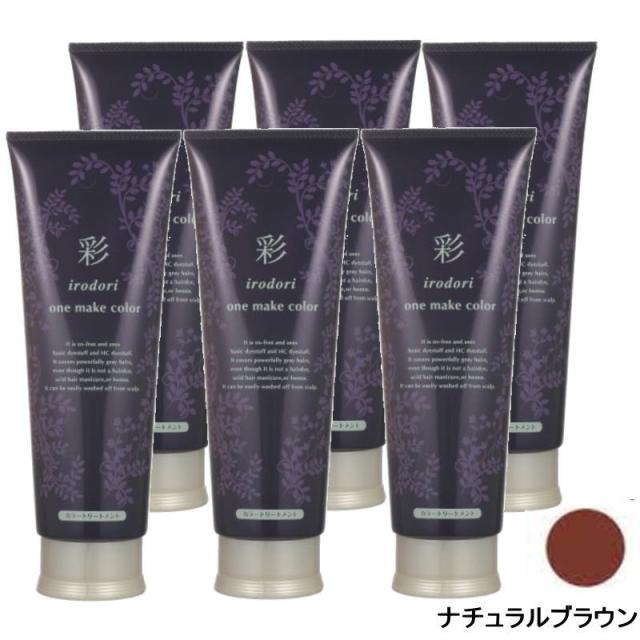 イリヤ 彩 ONEメイクカラー ナチュラルブラウン 250g×6点セット