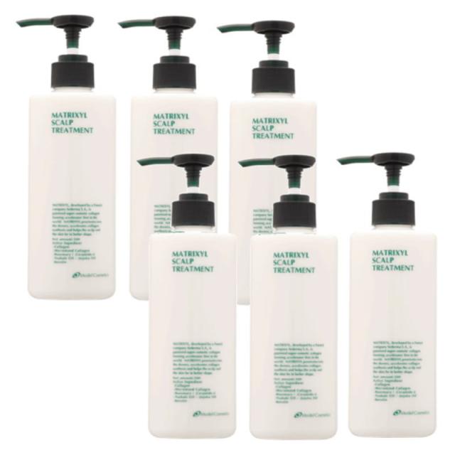 香栄化学　マトリキシル スキャルプトリートメント 300g×6点セット