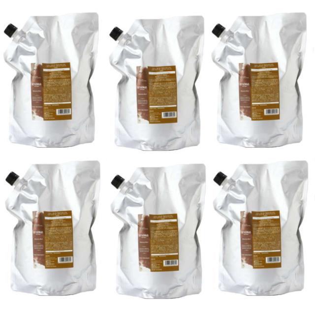 デミ　ヘアシーズンズ アロマシロップス　ヘヴンズバード　トリートメント　2000g リフィル 【6個セット】