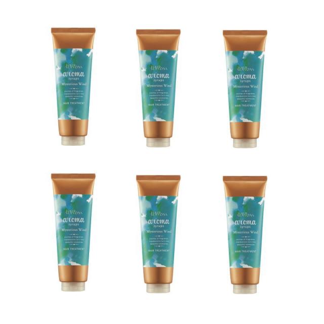 デミ　ヘアシーズンズ アロマシロップス　ミステリアスウィンド　トリートメント　240g 【6個セット】