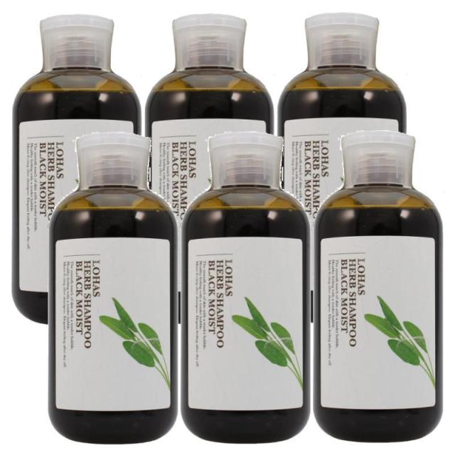 テクノエイト　ロハスハーブシャンプー　ブラックモイスト (しっとり艶タイプ)　300ml【6個セット】