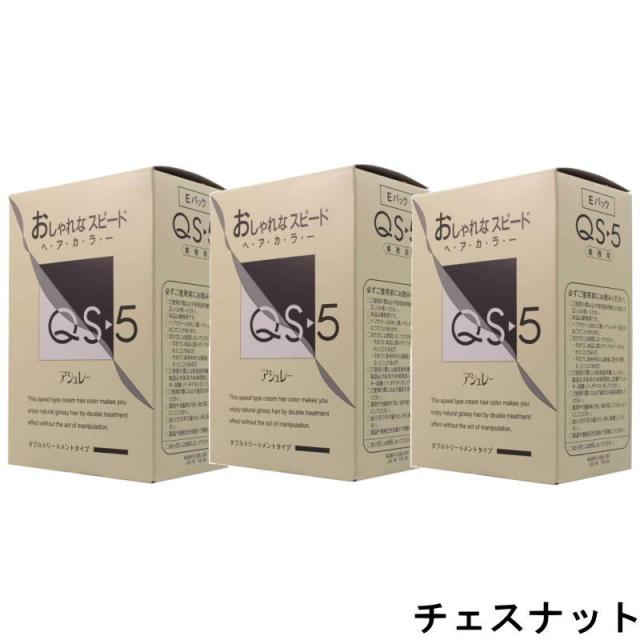 hoyu　ホーユープロフェッショナル　アシュレー QS-5　CQ-5 チェスナット　業務用　(1剤/50g×3、2剤/50g×3)×3点セット