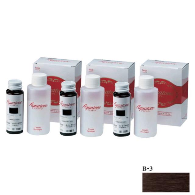 hoyu　ホーユープロフェッショナル　アクアトーン B-3　　(1液/40ml、2液/80ml)×3点セット