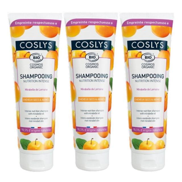 フレーバーライフ ＣＯＳＬＹＳ（コスリス） ドライ＆ダメージヘア シャンプー 250ｍｌ（3点セット）