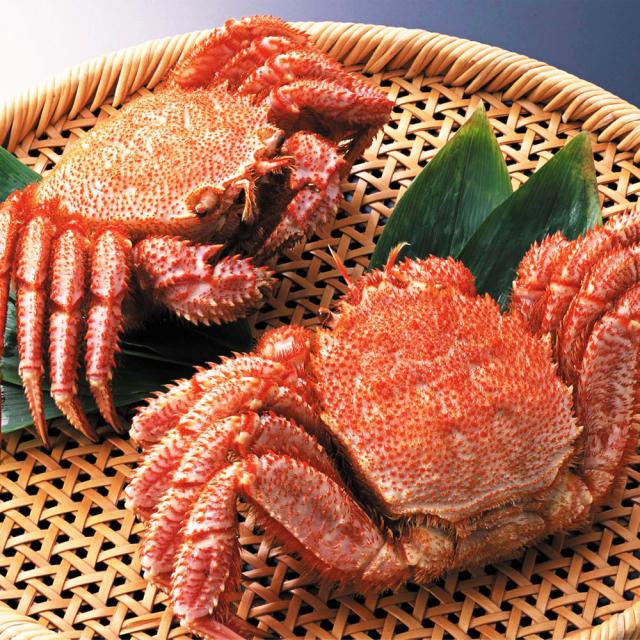 毛蟹 北海道 特大 毛ガニ 2尾 北海道産 400g×2尾 けがに おつまみ プレゼント 食品 グルメ 海鮮 栄養価抜群 8,850円