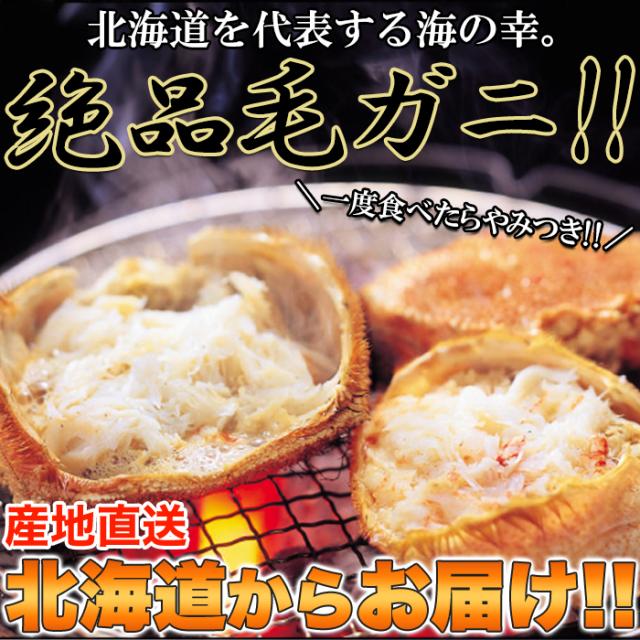毛蟹 北海道 特大 毛ガニ 2尾 北海道産 400g×2尾 けがに おつまみ プレゼント 食品 グルメ 海鮮 栄養価抜群_1