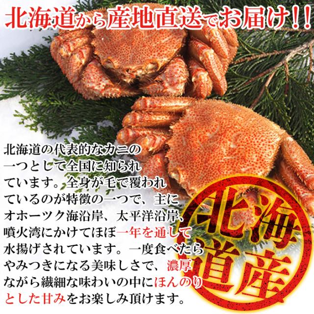 毛蟹 北海道 特大 毛ガニ 2尾 北海道産 400g×2尾 けがに おつまみ プレゼント 食品 グルメ 海鮮 栄養価抜群_3