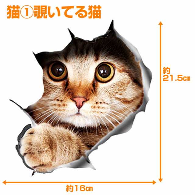 3D感のカーステッカー カッティングステッカー ウォールステッカー トリックアート だまし絵 飛び出す 3DCAT1521の通販はau PAY  マーケット - ライフパワーショップ | au PAY マーケット－通販サイト