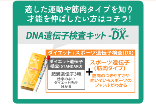 au pay マーケット