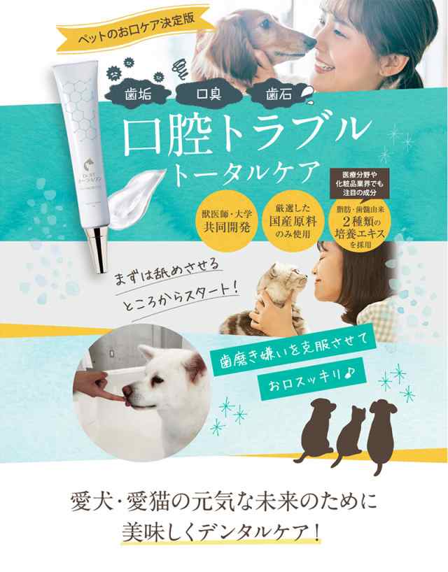 Dr St オーラルワン ペット 犬 猫 お口ケア 口臭 歯垢 歯石 虫歯 歯周病 歯磨き デンタルケア 送料無料の通販はau Pay マーケット プレミアムモール