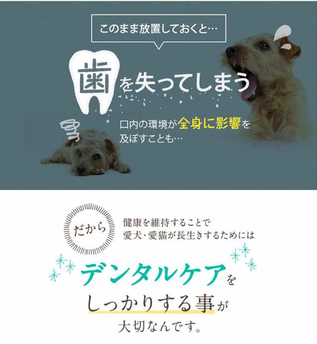 Dr St オーラルワン ペット 犬 猫 お口ケア 口臭 歯垢 歯石 虫歯 歯周病 歯磨き デンタルケア 送料無料の通販はau Pay マーケット プレミアムモール