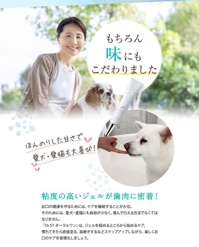 堅実な究極の 好評 口臭 歯垢と虫歯をなくす 犬用デンタルワイプ 枚 100 J Kf Petpost 新品 その他 Hlt No