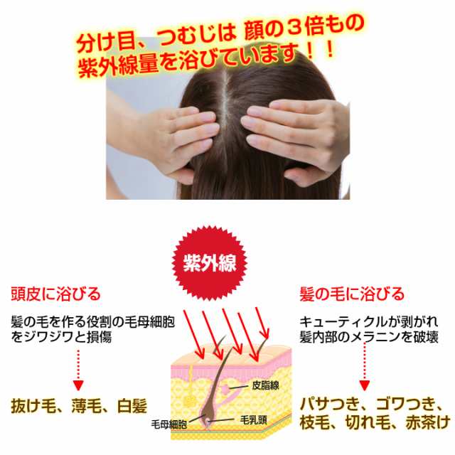 送料無料 ｕｖカットバイザーキャップ サンバイザー セット 髪の毛の紫外線対策 頭皮の紫外線対策 テニス ゴルフ の通販はau Pay マーケット ホワイトビューティー