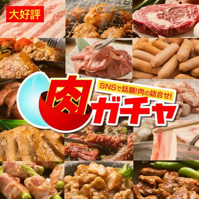 【5000円コース】福袋 肉ガチャ 肉福袋 食品 冷凍 肉 精肉 加工品 福袋 詰め合わせの通販は
