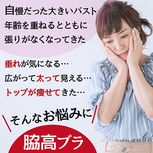 ブラジャー 大きいサイズ 脇高 脇肉 横流れ バストアップ 補正下着 寄せる はみ肉 つけ心地 ブラ 40代 50代 レディースの通販はau Pay マーケット Ctable