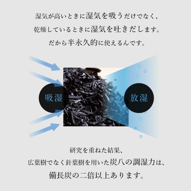 乾燥材 除湿剤 出雲カーボン 炭八 スマート小袋 10袋セット_6